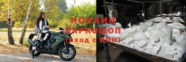 ПСИЛОЦИБИНОВЫЕ ГРИБЫ Абдулино