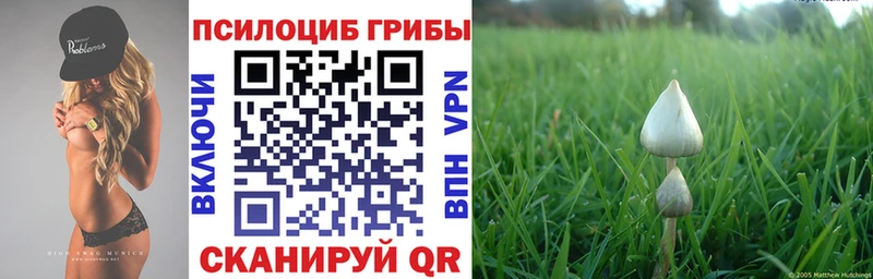 Галлюциногенные грибы прущие грибы  mega вход  Советский 